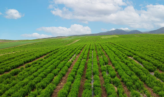 365体育官网_365体育亚洲官网