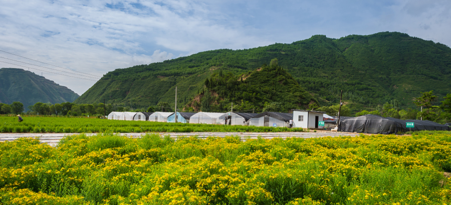 365体育官网_365体育亚洲官网