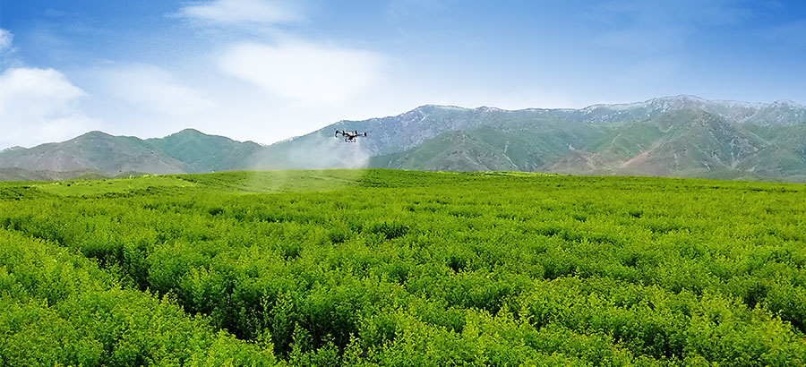 365体育官网_365体育亚洲官网